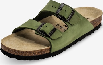 Zoccoletto di VITAFORM in verde: frontale