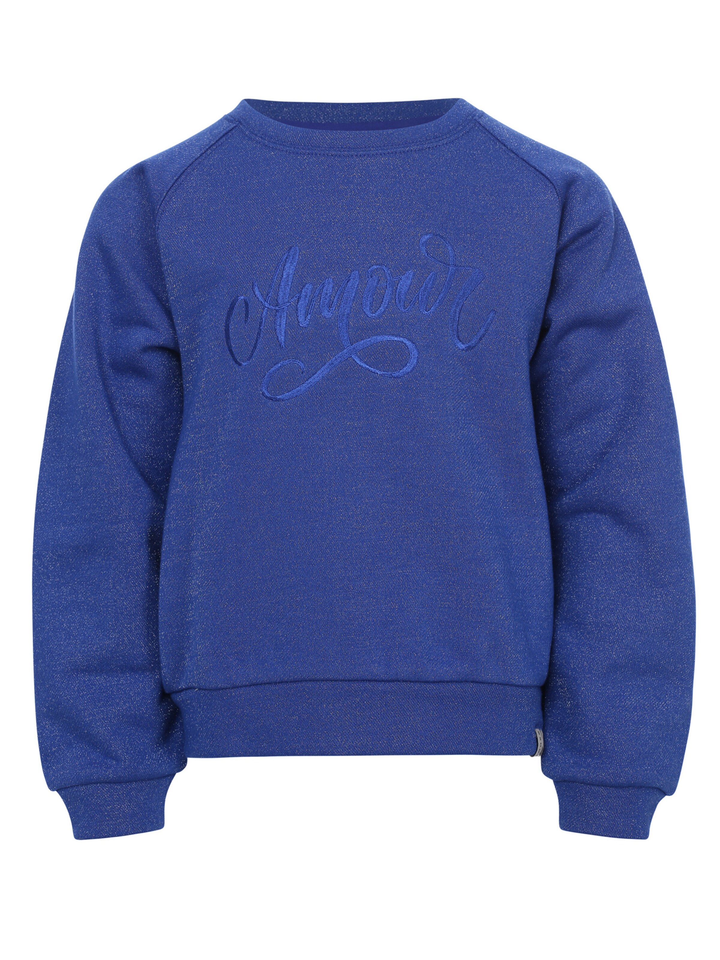 Looxs Revolution Sweatshirt in Blauw: voorkant