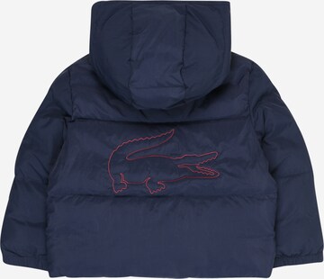 LACOSTE - Chaqueta de invierno en azul