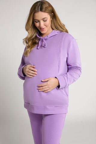 Ulla Popken Sweatshirt in Lila: predná strana