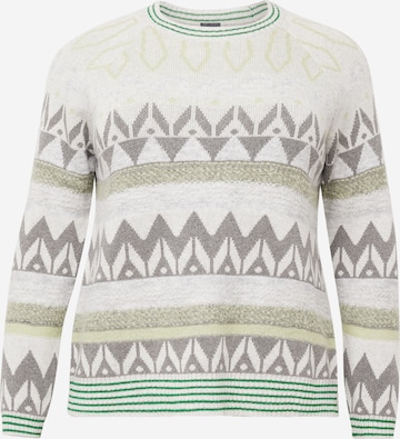 Pull-over 'AVOCADO' Persona by Marina Rinaldi en gris : devant