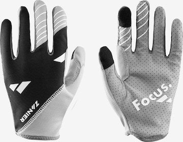Zanier Athletic Gloves 'SHREDDER' in Grey: front