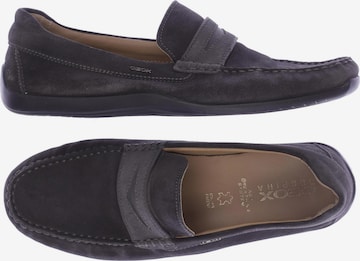 GEOX Flats & Loafers in 42 in Grey: front