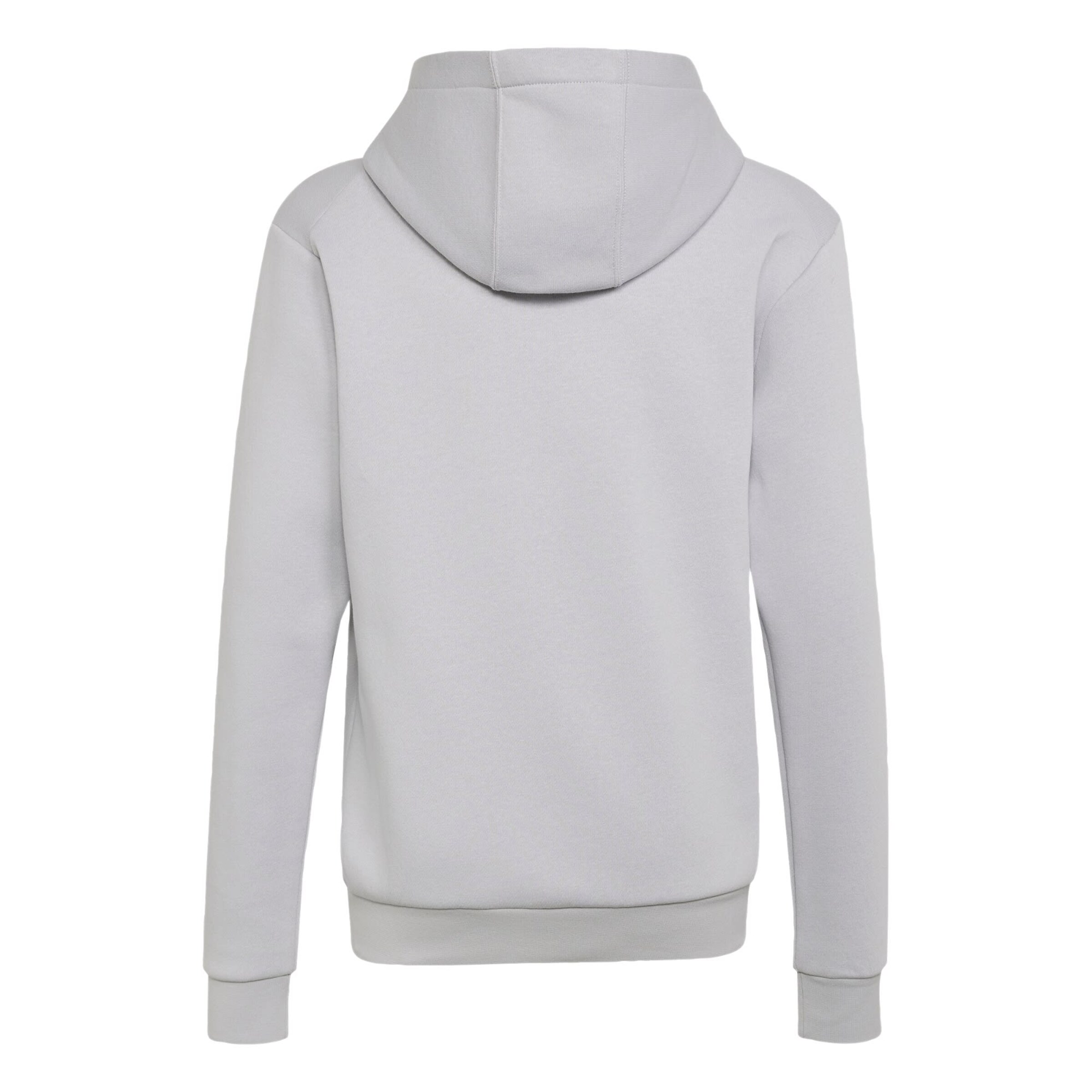 ADIDAS TERREX Sportsweatshirt 'Adidas x Minecraft' in Grau
