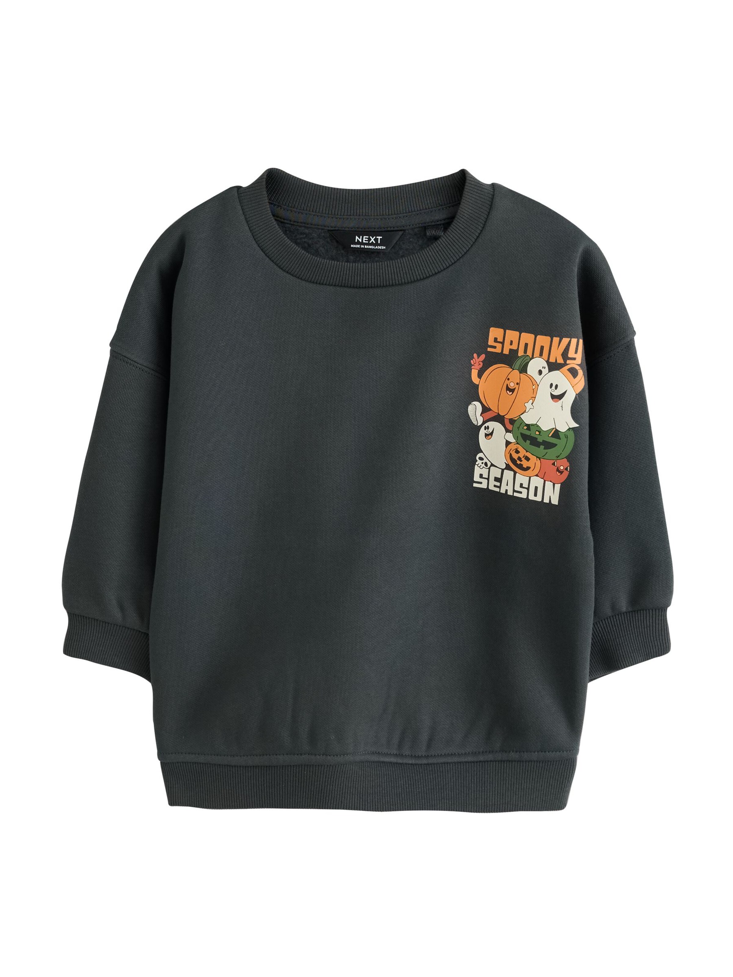 Next - Sudadera en gris: frente
