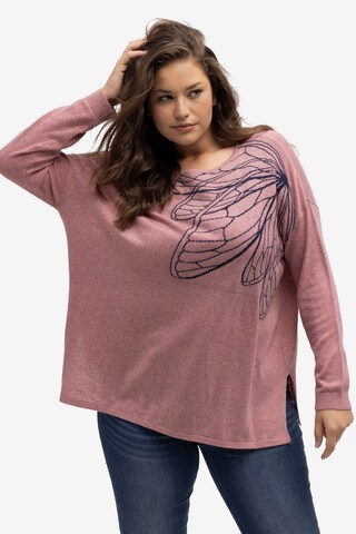 Ulla Popken Sweater in Pink: front