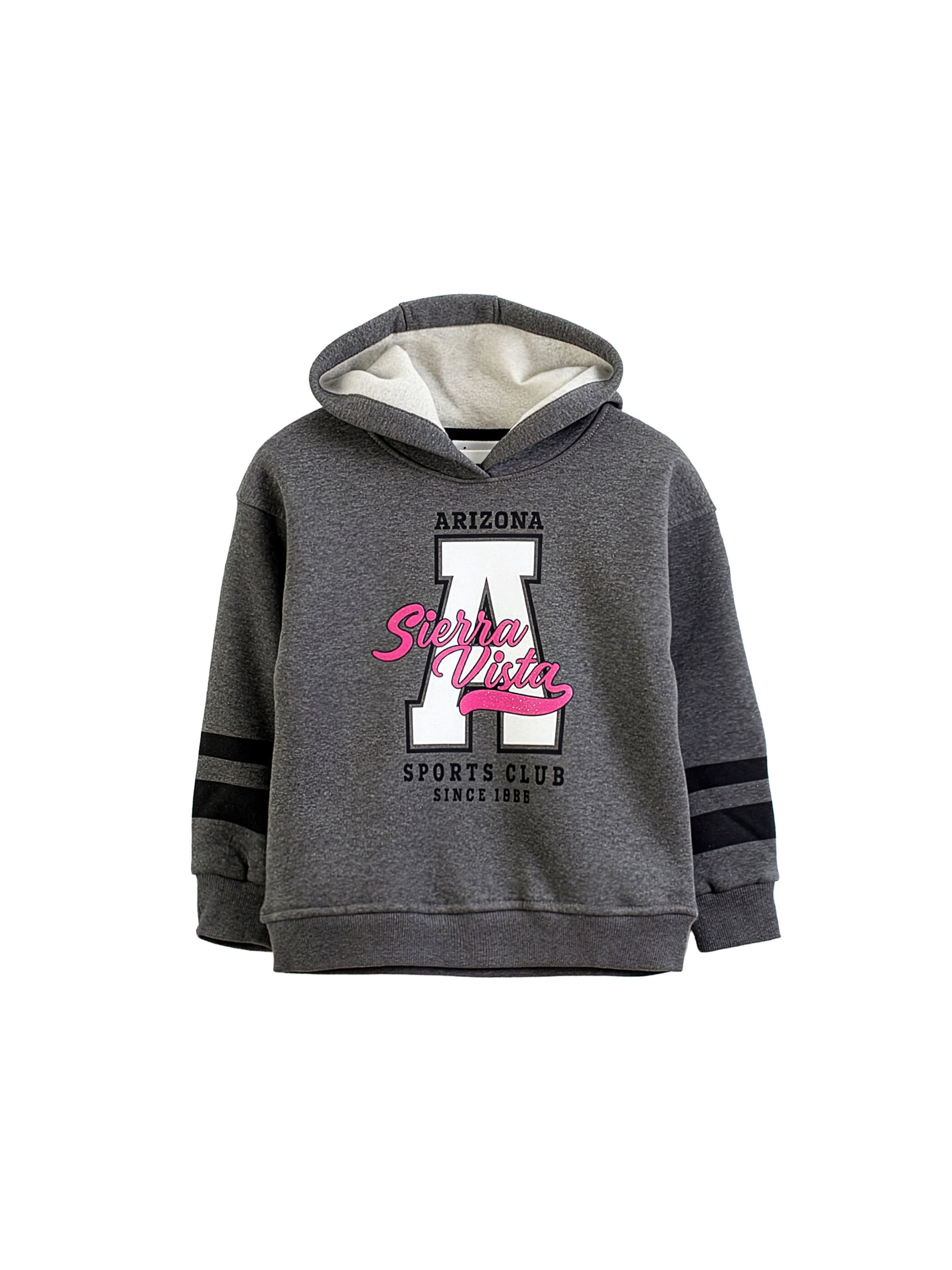 Solang Sweatshirt in Grey: front