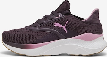 PUMA Running Shoes 'SOFTRIDE' in Purple: front