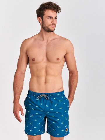 Shiwi Swimming shorts in Blue: front