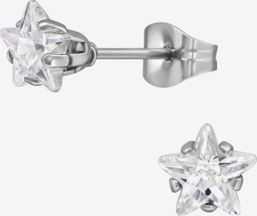 Maxte Earrings 'Stern' in Silver: front