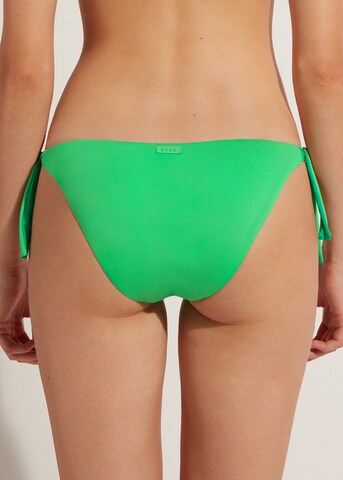 CALZEDONIA Bikini Bottoms in Green