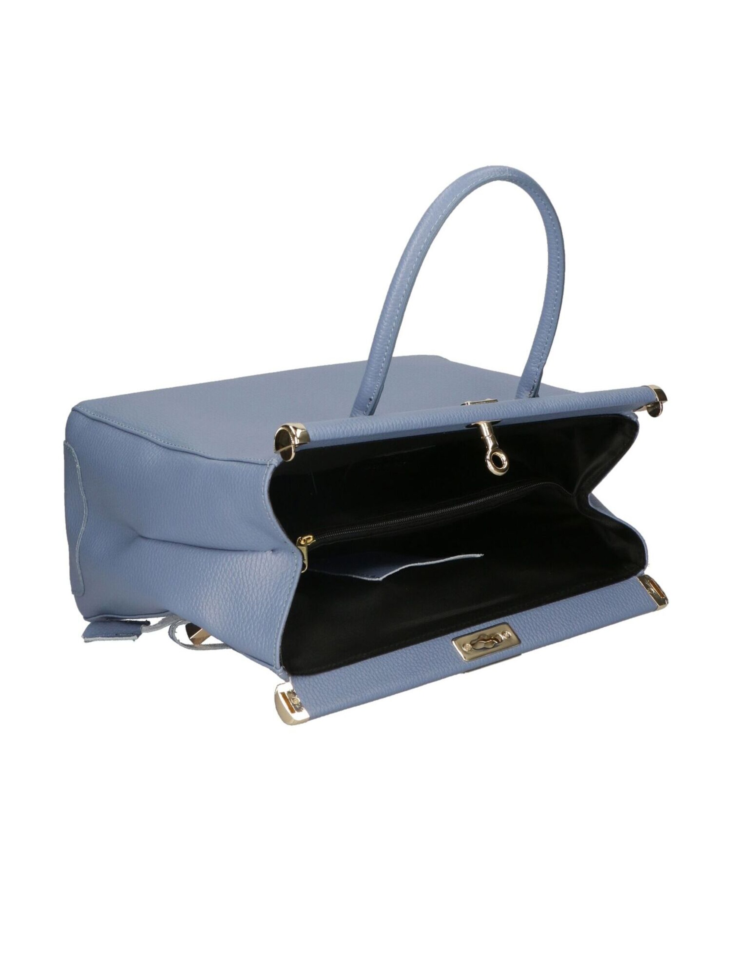 CHICCA BORSE Handbag in Blue