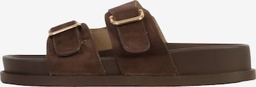 Joia Mule in Brown: front