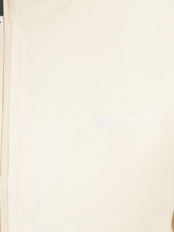 REGATTA Bluza polarowa funkcyjna 'Floreo IV' w kolorze beżowy