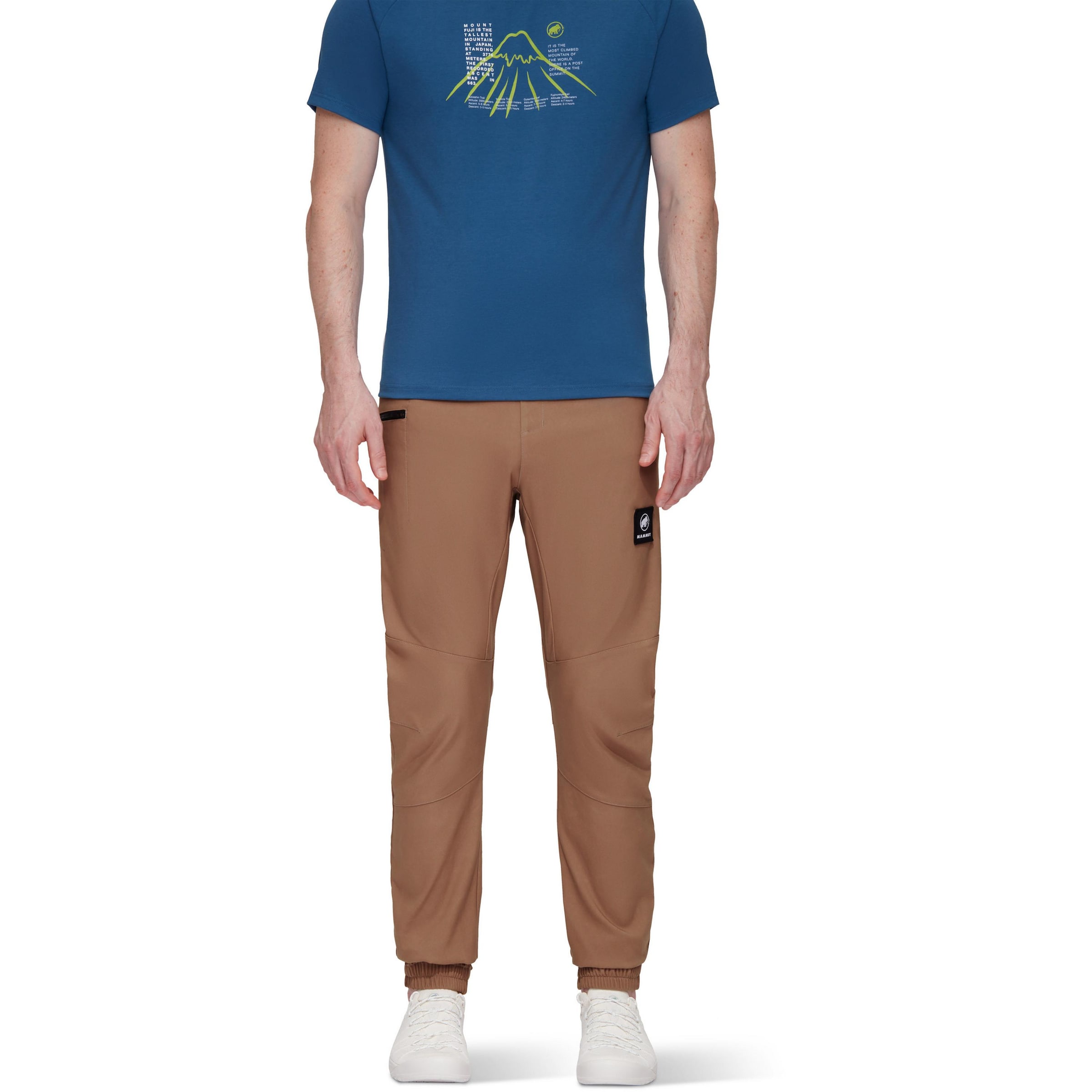 MAMMUT Tapered Outdoor Pants 'Massone' in Brown: front