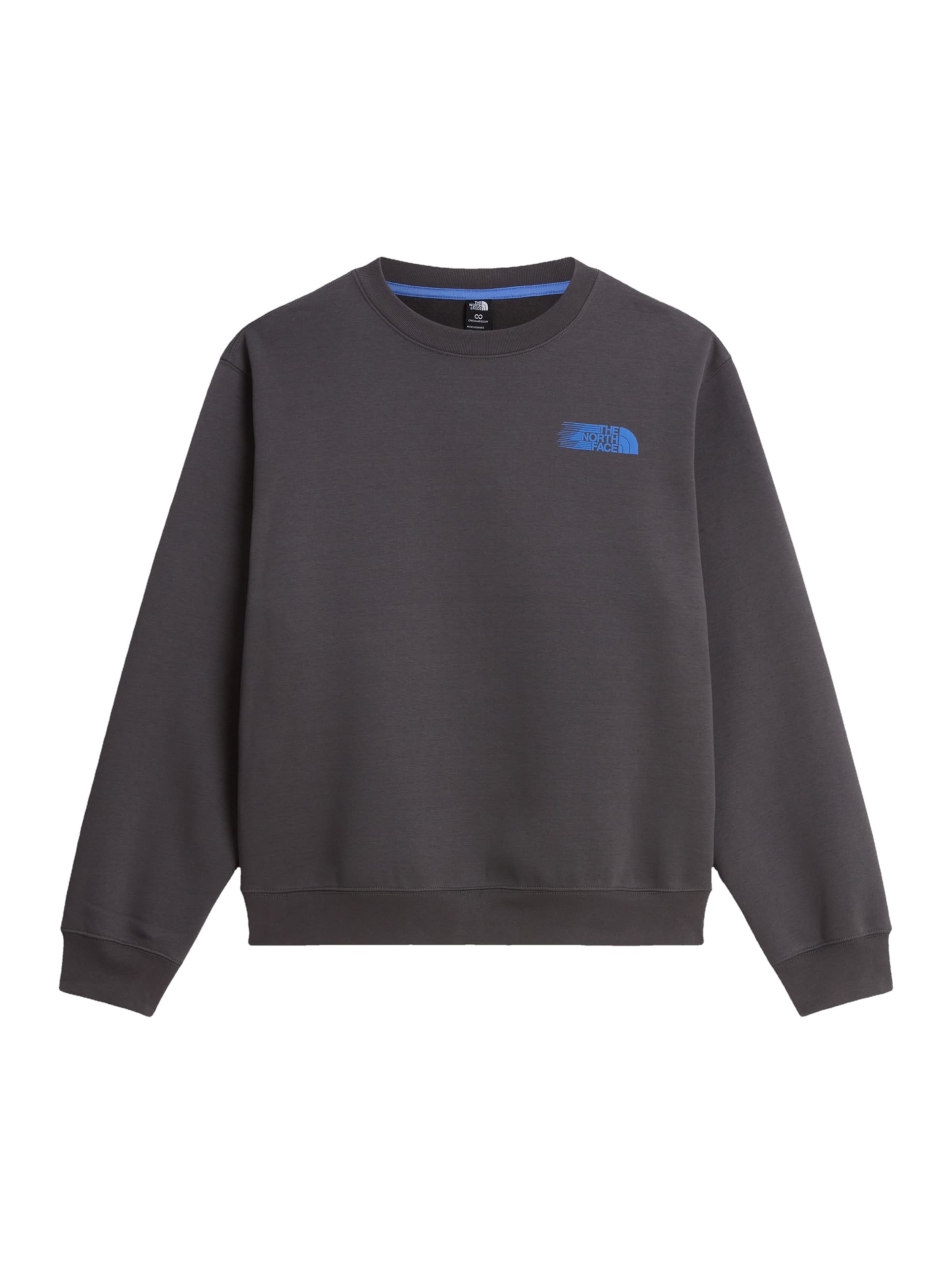 THE NORTH FACE - Sudadera en gris: frente