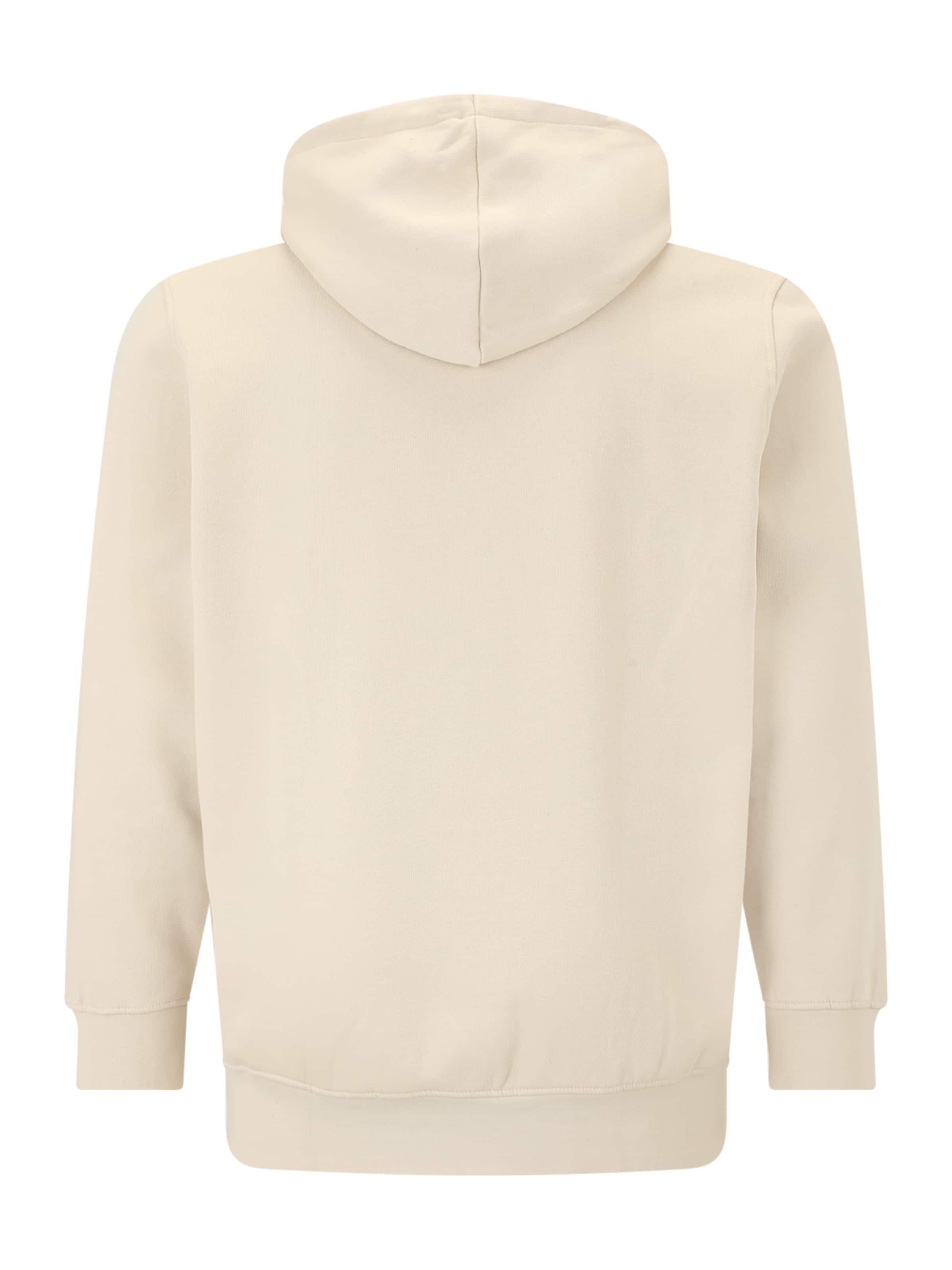 Jack & Jones Plus Sweatshirt 'JJESOHO' in Grey