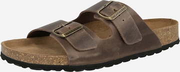 Zoccoletto 'Basic' di SALAMANDER in marrone: frontale