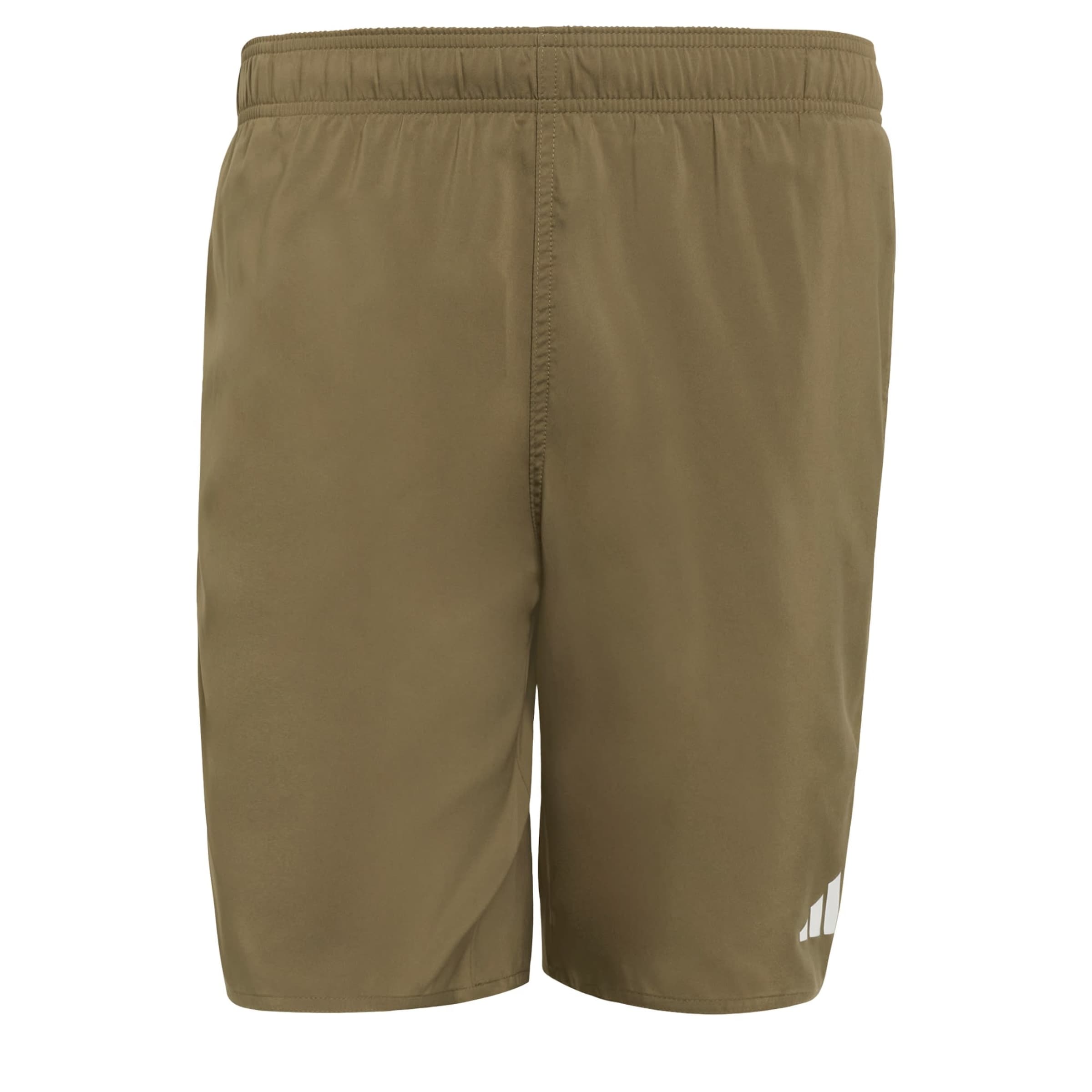ADIDAS SPORTSWEAR - Bermudas en verde: frente