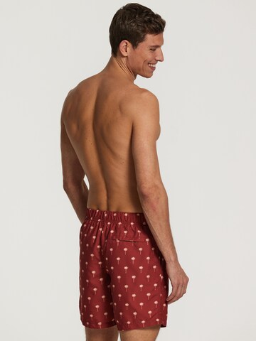 Shorts de bain Shiwi en marron