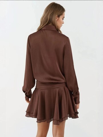 Hiccup Kleid in Braun