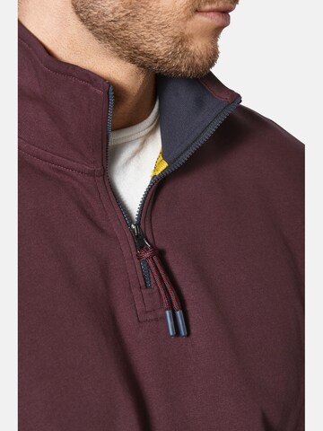 BABISTA Sweatshirt 'Silvassi' in Lila