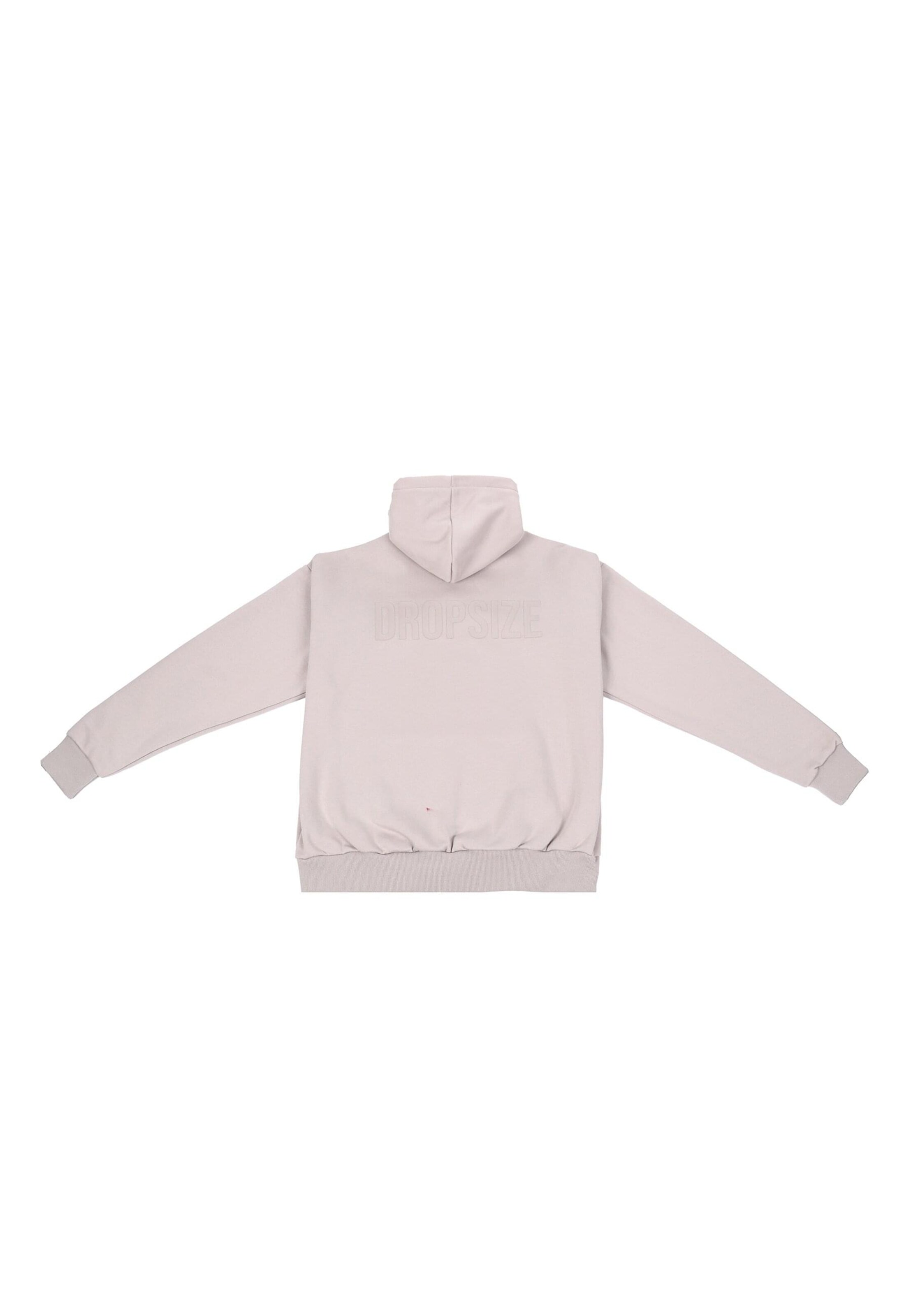 Dropsize Sweatshirt in Grijs