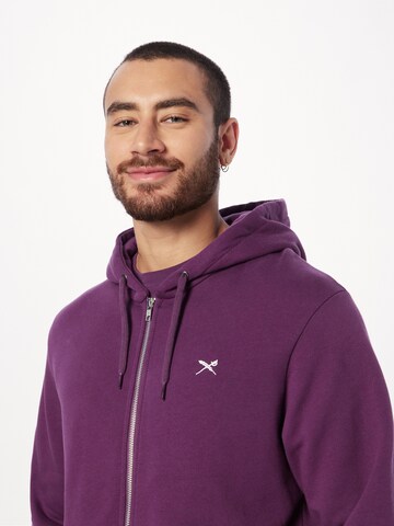 Iriedaily Zip-Up Hoodie 'Mini Flag 2' in Purple