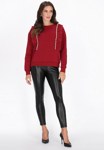 faina Sweatshirt in Rood