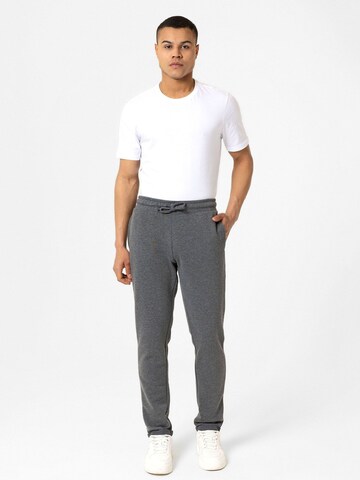 Williot Tapered Pants 'Esteban' in Grey