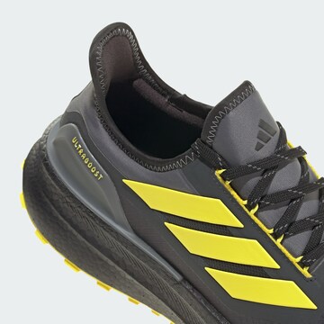 ADIDAS PERFORMANCE Laufschuh 'Ultraboost 5' in Grau