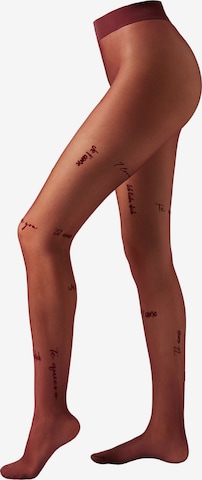 CALZEDONIA Tights in Brown: front