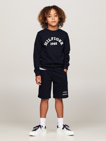 TOMMY HILFIGER Sweatshirt i blå