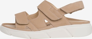 Ganter Strap Sandals in Brown