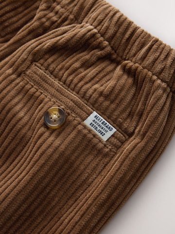 regular Pantaloni di Next in marrone