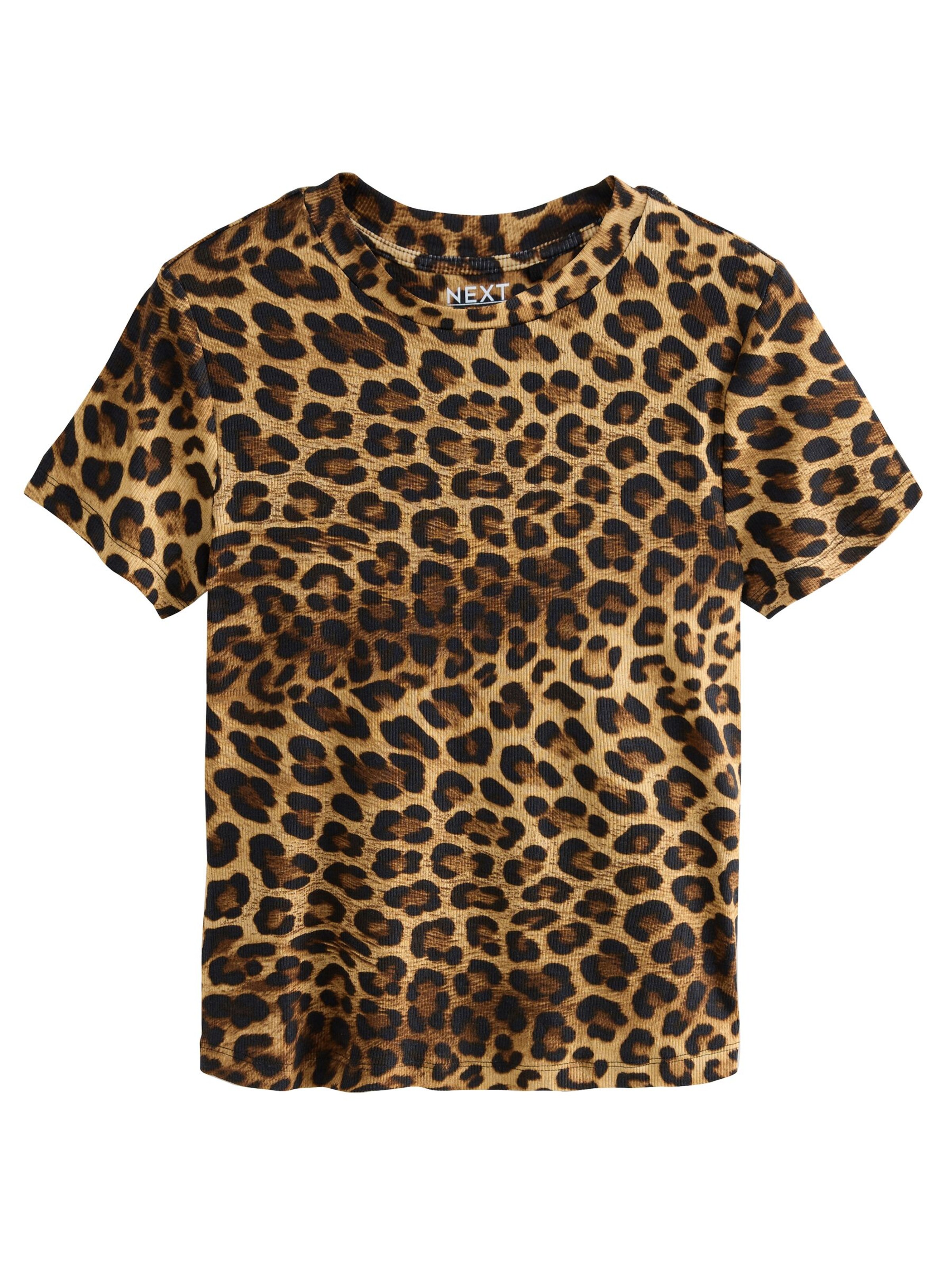 Next Paita värissä ruskea / vaaleanruskea / tummanruskea, Tuotenäkymä