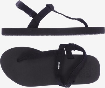 ECOALF Sandals & High-Heeled Sandals in 40 in Black: front