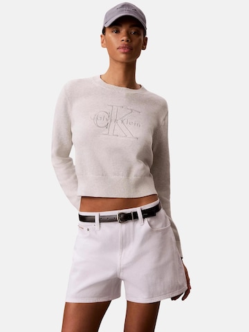Calvin Klein Trui in Grijs