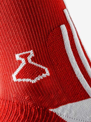 liiteGuard Athletic Socks 'Pro-Tech' in Red
