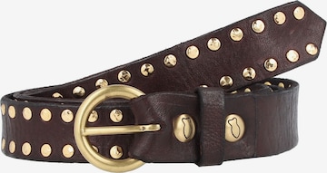 Ceinture Campomaggi en marron : devant