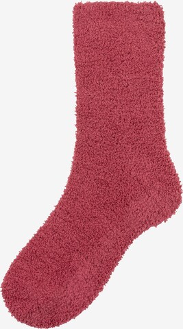 LASCANA Socks in Pink: front