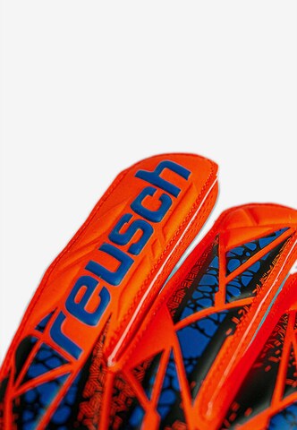 REUSCH Athletic Gloves 'Attrakt Starter Solid' in Orange
