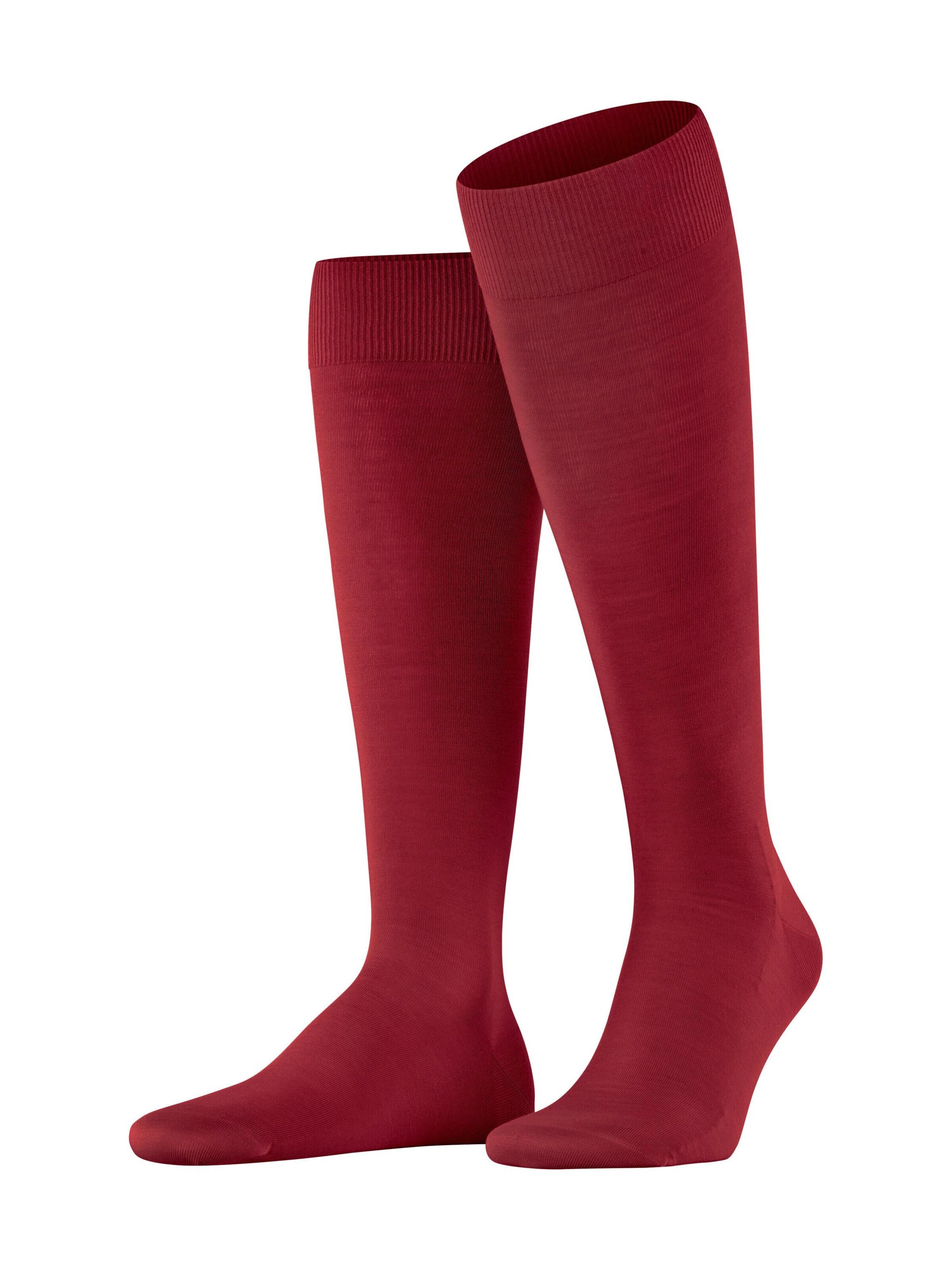 FALKE Kniestrümpfe 'ClimaWool'‌‌‌‌‌‌‌‌‌‌ in Rot: Vorderseite