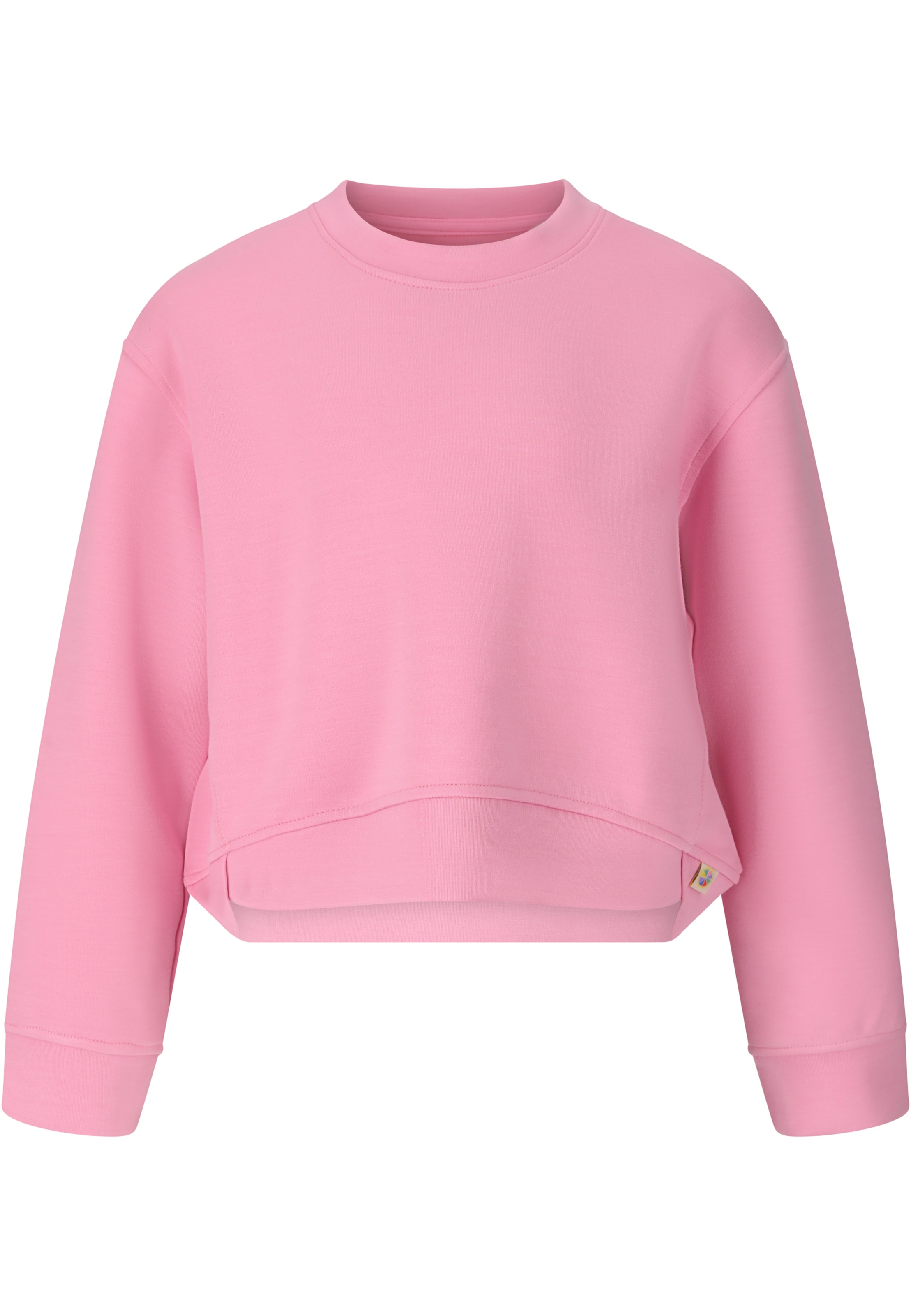 ZigZag Sweatshirt 'Wera' in Pink: front