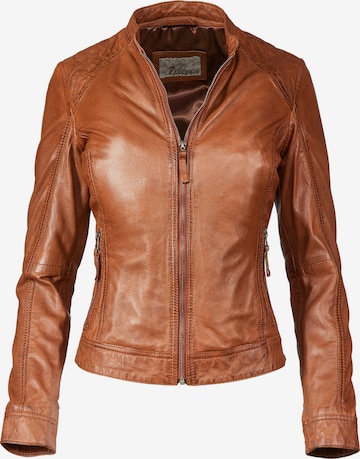 7ELEVEN Between-Season Jacket 'SERosali' in Brown: front