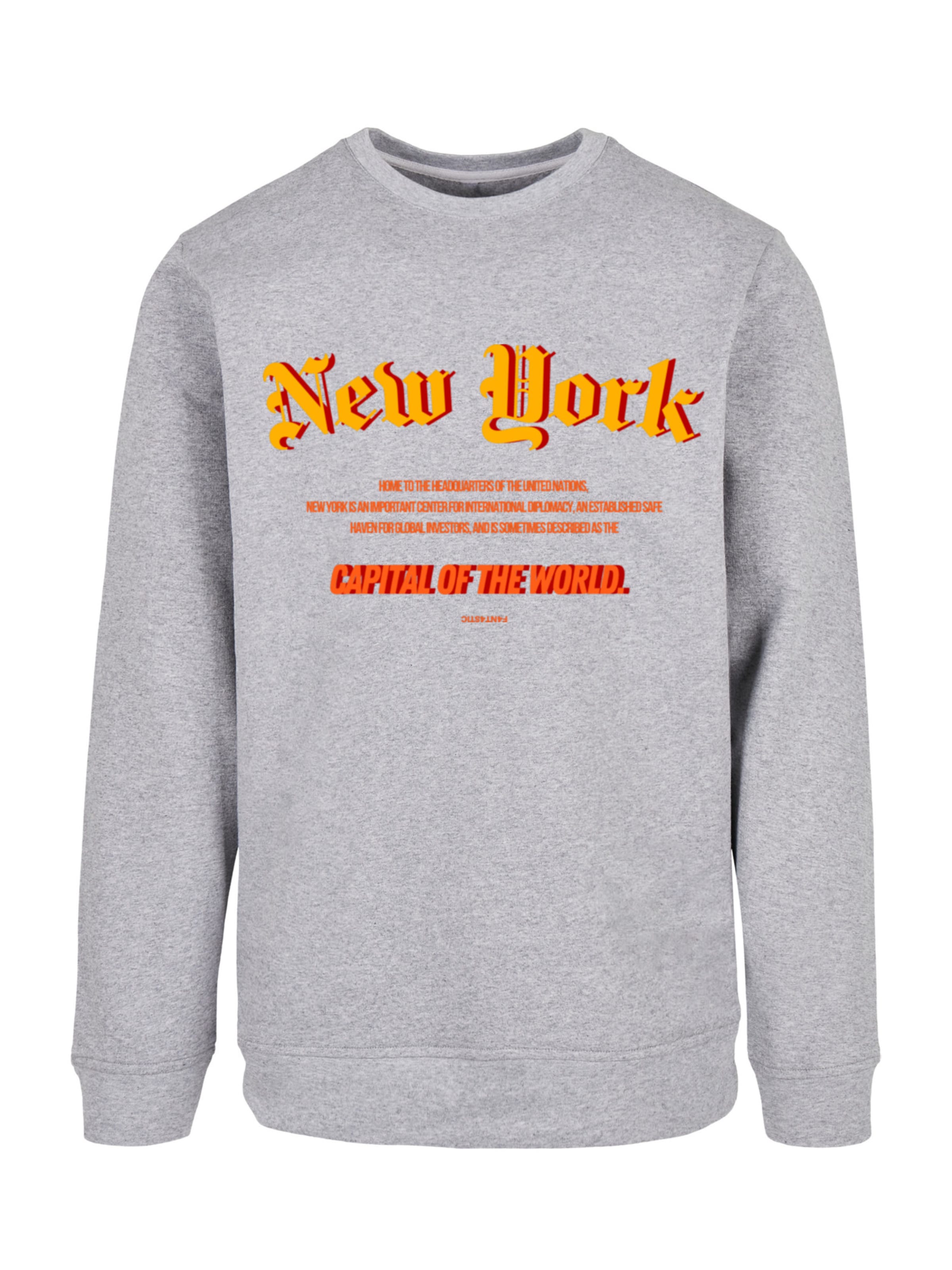 F4NT4STIC Sweatshirt 'New York COTW' in Grijs: voorkant