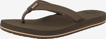 REEF T-Bar Sandals 'Cushion Breeze' in Brown: front