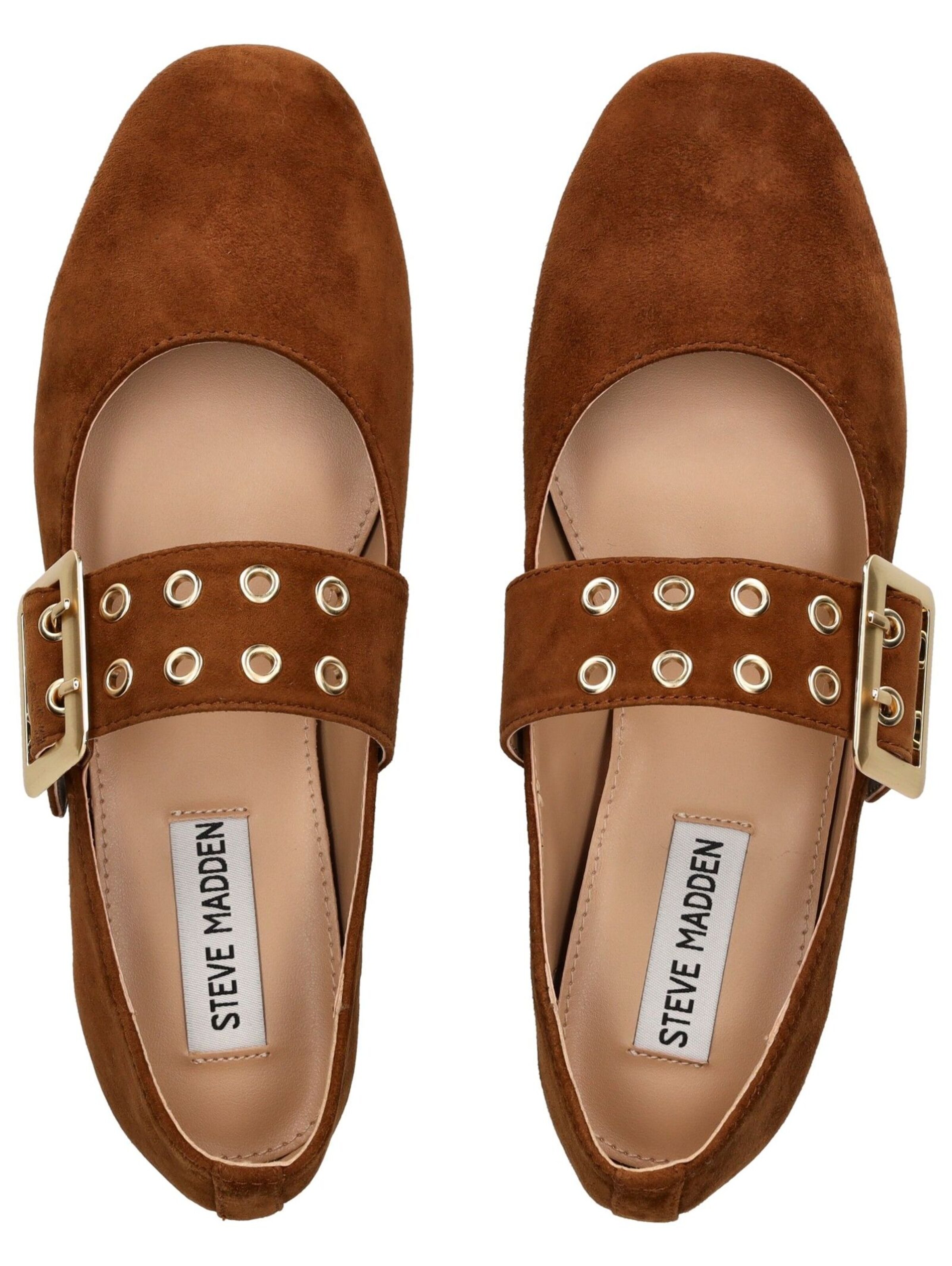 STEVE MADDEN Ballet Flats with Strap in Brown