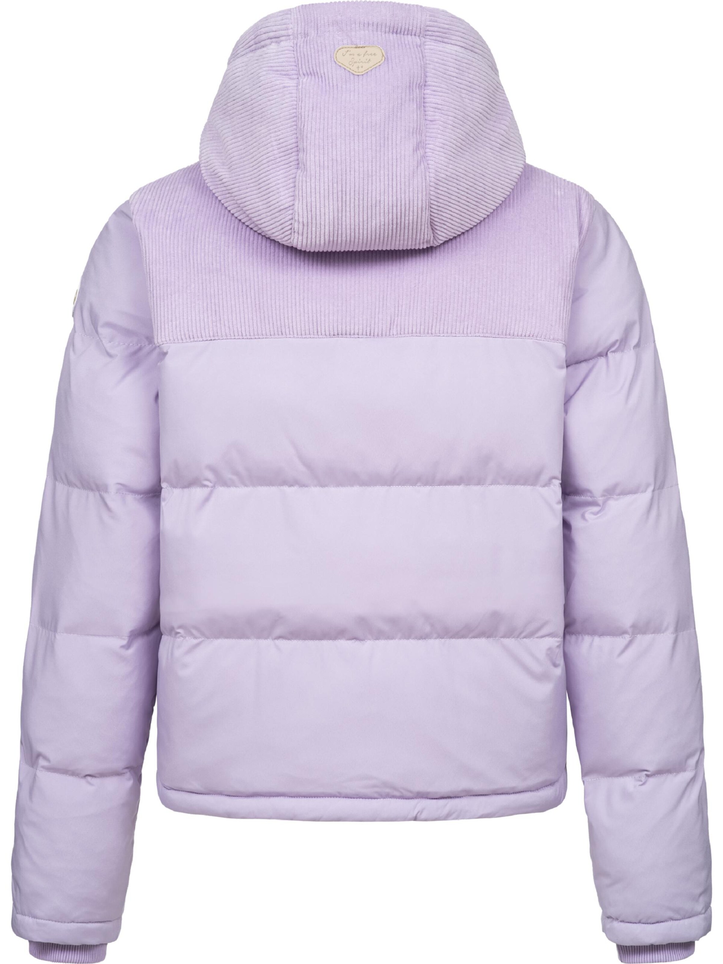 Ragwear Winter Jacket 'Amazze' in Purple