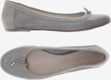 HALLHUBER Flats & Loafers in 38 in Grey: front